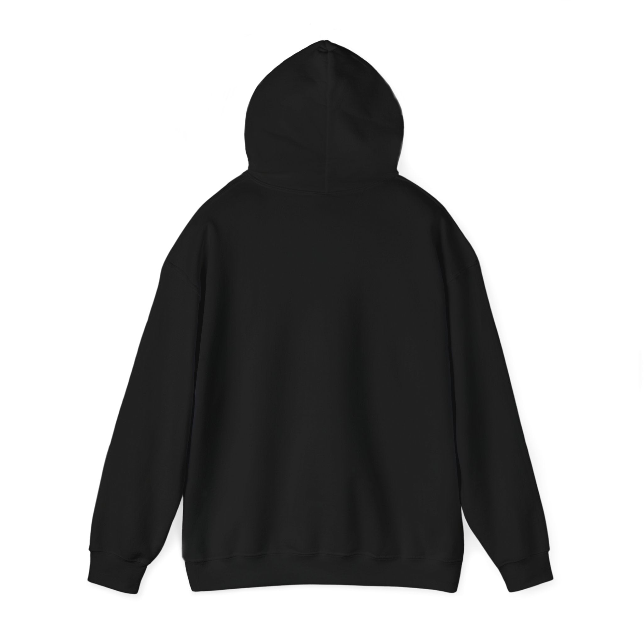 BAYOU BISHOPS PATCH --HOODIE