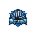 Battleborn Magnet