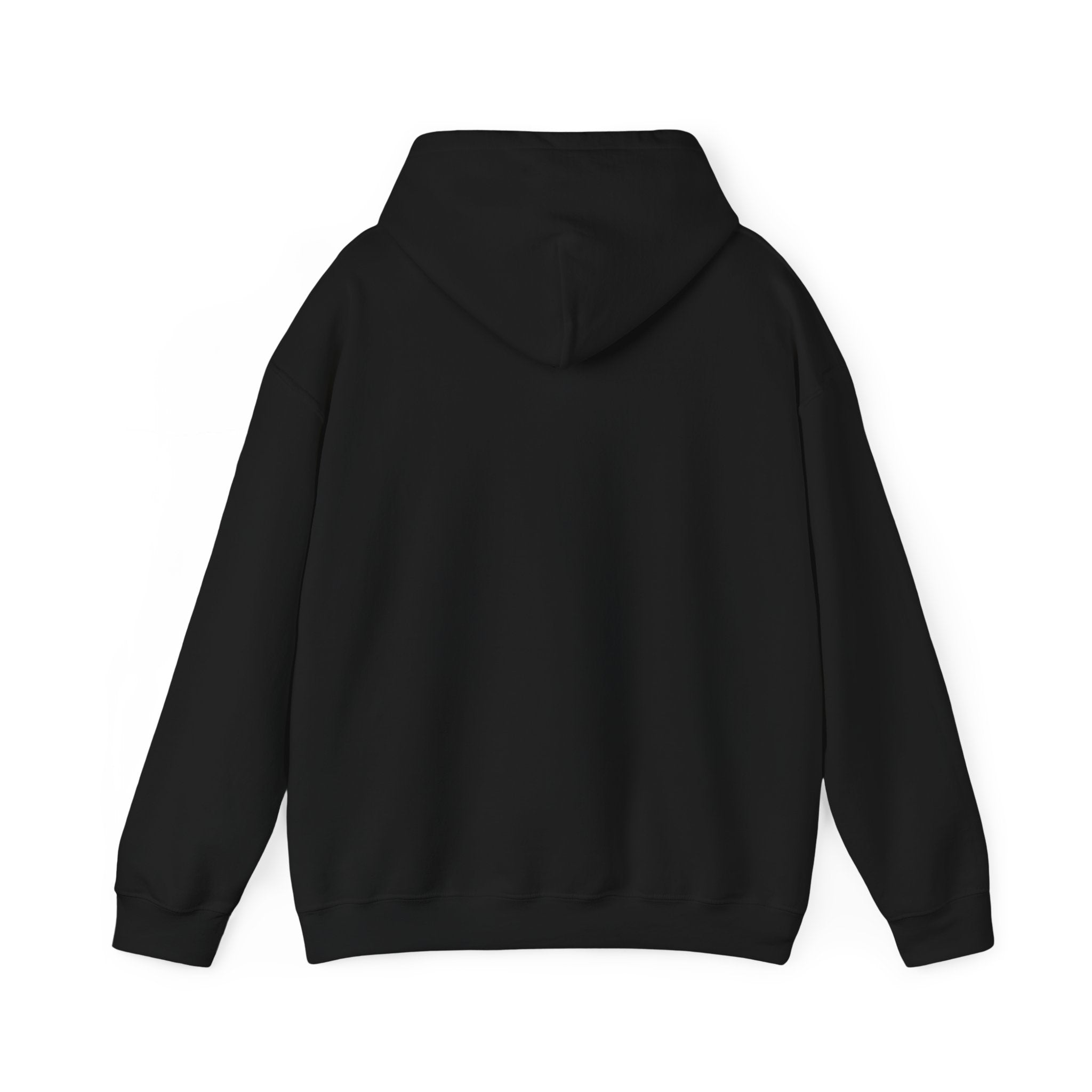 BAYOU BISHOPS PATCH --HOODIE