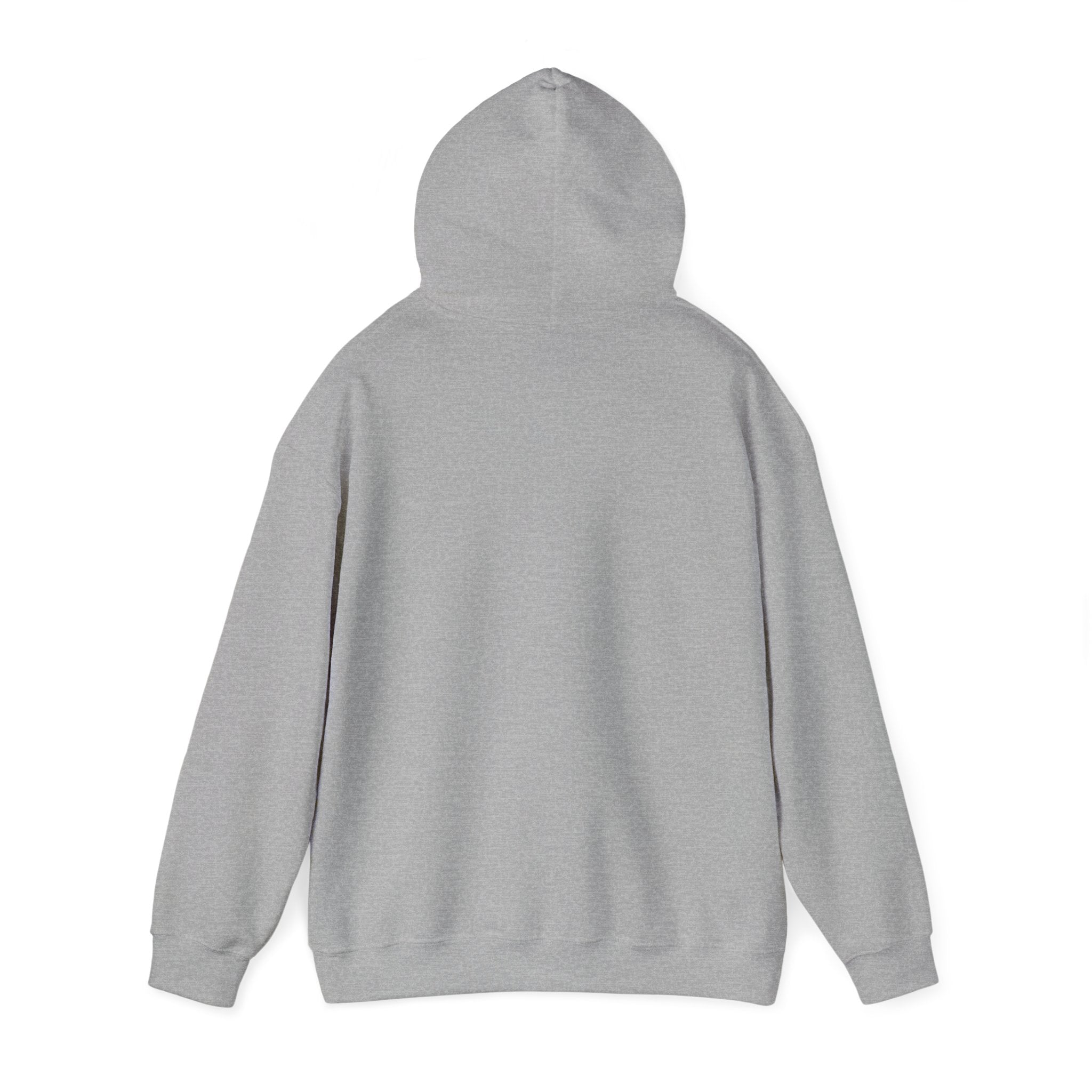 Copy of BAYOU BISHOPS PATCH --HOODIE