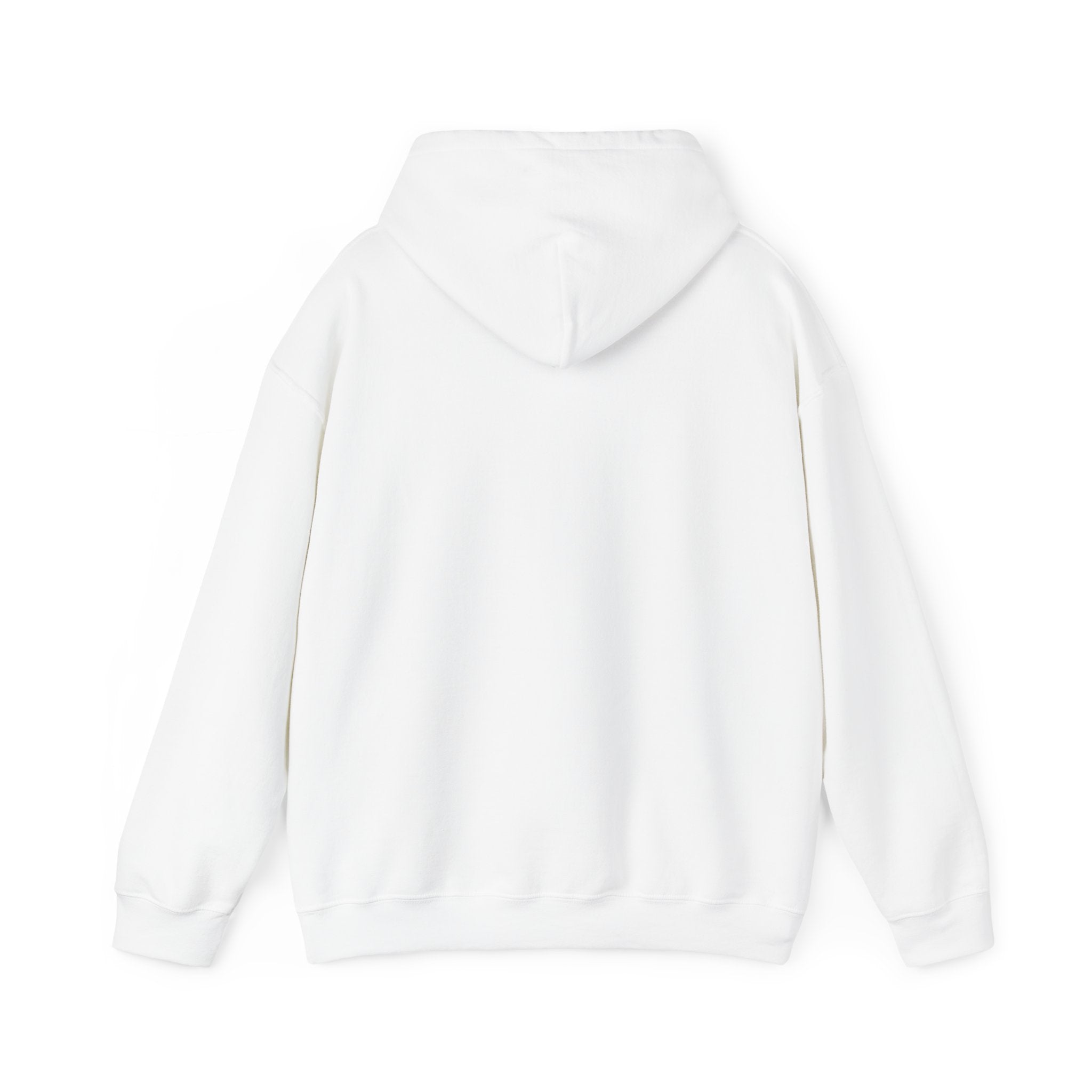 BAYOU BISHOPS PATCH --HOODIE