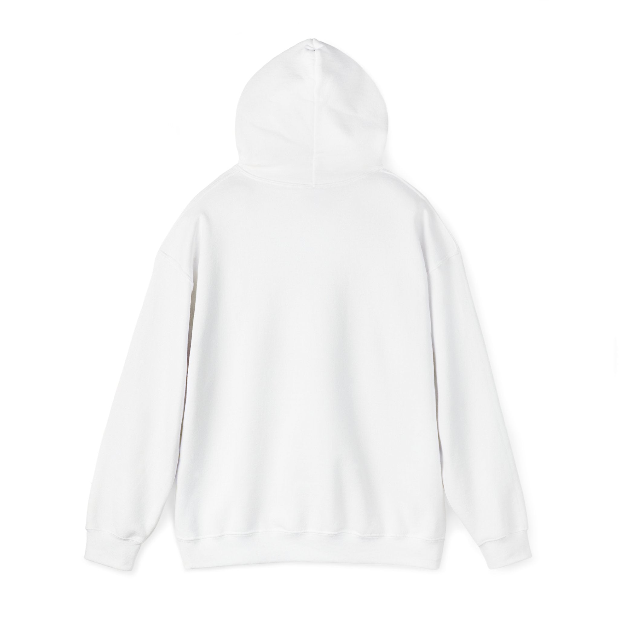 Copy of BAYOU BISHOPS PATCH --HOODIE