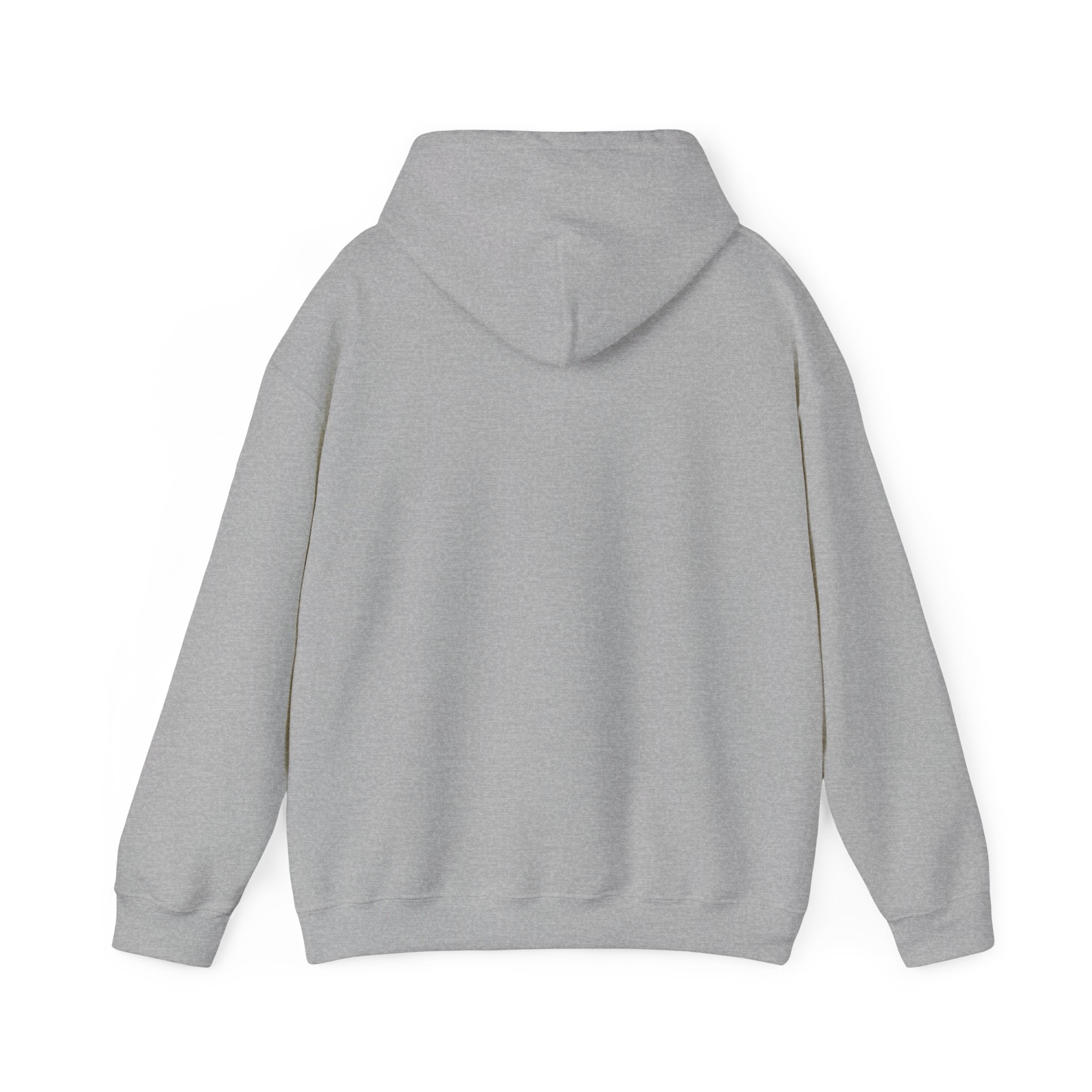 BAYOU BISHOPS PATCH --HOODIE